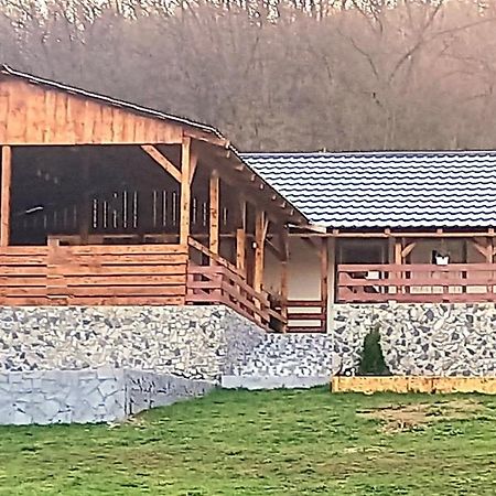 IeşelniţaCasa Claudiu别墅 外观 照片