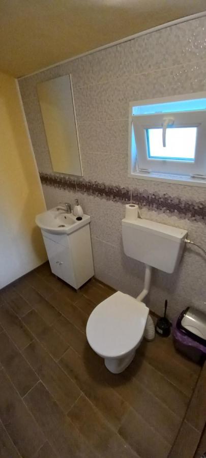 IeşelniţaCasa Claudiu别墅 外观 照片